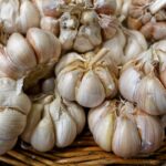 découvrez l'ail noir, un super-aliment riche en antioxydants aux multiples bienfaits pour la santé. appréciez sa saveur douce et caramélisée, idéale pour rehausser vos plats et vos recettes. explorez les origines, les méthodes de préparation et les conseils d'utilisation de cet ingrédient unique.