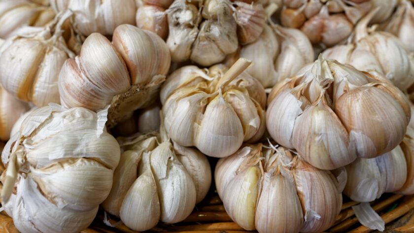 découvrez l'ail noir, un super-aliment riche en antioxydants aux multiples bienfaits pour la santé. appréciez sa saveur douce et caramélisée, idéale pour rehausser vos plats et vos recettes. explorez les origines, les méthodes de préparation et les conseils d'utilisation de cet ingrédient unique.