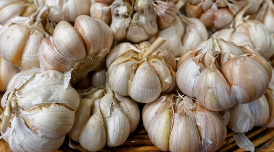 découvrez l'ail noir, un super-aliment riche en antioxydants aux multiples bienfaits pour la santé. appréciez sa saveur douce et caramélisée, idéale pour rehausser vos plats et vos recettes. explorez les origines, les méthodes de préparation et les conseils d'utilisation de cet ingrédient unique.
