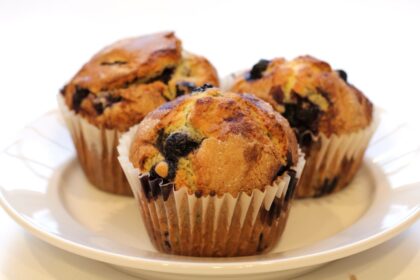 découvrez la recette délicieuse et facile des muffins aux myrtilles, parfaits pour un petit-déjeuner gourmand ou un encas. savourez ces douceurs moelleuses, richement parfumées aux myrtilles fraîches, pour un moment de plaisir inoubliable.
