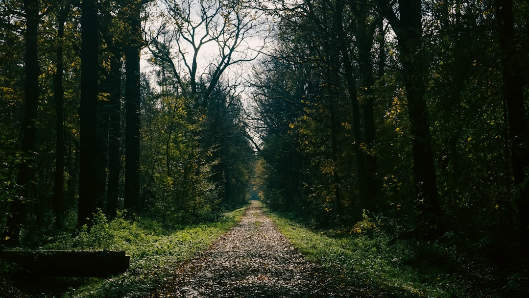 découvrez l'importance de la respiration pour votre bien-être physique et mental. apprenez des techniques de respiration efficaces pour réduire le stress, améliorer votre concentration et favoriser une meilleure santé globale.