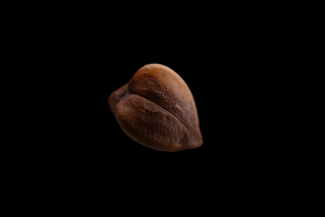 découvrez le sarrasin, une céréale sans gluten aux multiples bienfaits. riche en nutriments essentiels, il est parfait pour les personnes souhaitant diversifier leur alimentation. apprenez comment l'intégrer dans vos recettes quotidiennes pour une alimentation saine et équilibrée.