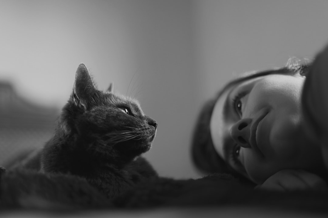 découvrez nos conseils essentiels pour prendre soin de votre chat : alimentation, santé, hygiène et bien-être. offrez à votre compagnon félin une vie heureuse et épanouie grâce à nos astuces pratiques et informations utiles.