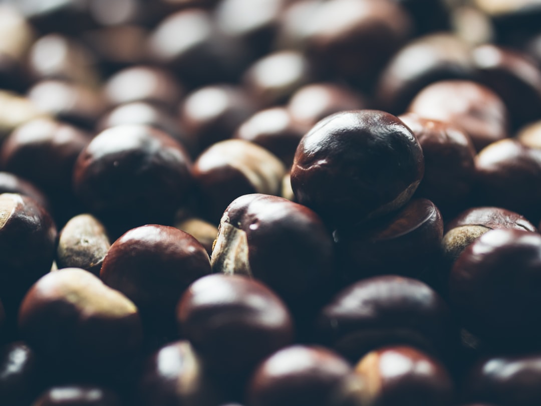 découvrez tout sur les marrons : bénéfices pour la santé, recettes délicieuses, et astuces pour les cuisiner. apprenez à savourer ce fruit automnal dans votre alimentation!