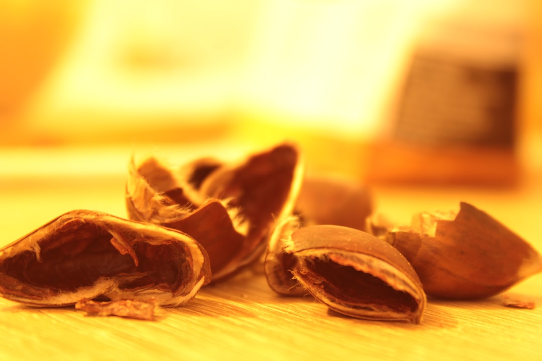 découvrez tout ce que vous devez savoir sur les marrons : recettes savoureuses, conseils de préparation et bienfaits nutritionnels. apprenez à les déguster en toute saison !