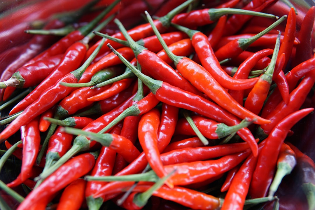 découvrez le chili, un pays aux paysages spectaculaires, à la culture riche et à la cuisine savoureuse. explorez ses montagnes majestueuses, ses plages magnifiques et sa vibrante histoire. plongez dans l'aventure chilienne !