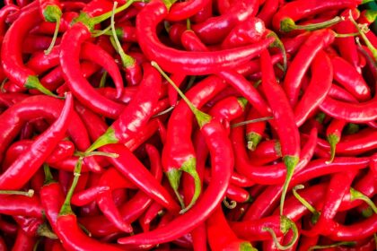 découvrez le chili, un pays aux paysages variés, des plages de rêve aux majestueux andes. plongez dans sa culture riche, sa délicieuse cuisine et ses aventures en plein air, tout en explorant des villes vibrantes comme santiago et valparaíso.