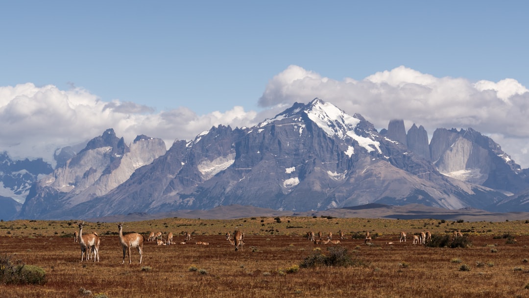 découvrez le chili, un pays aux paysages spectaculaires allant des déserts arides aux sommets glaciaires. explorez sa culture riche, sa gastronomie savoureuse et ses magnifiques parcs nationaux, tout en profitant des aventures en plein air.