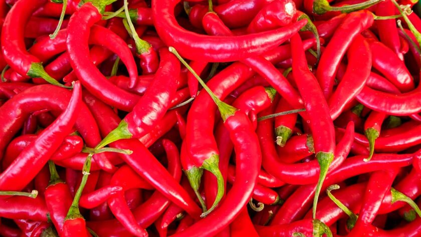 découvrez le chili, un pays aux paysages variés, des plages de rêve aux majestueux andes. plongez dans sa culture riche, sa délicieuse cuisine et ses aventures en plein air, tout en explorant des villes vibrantes comme santiago et valparaíso.