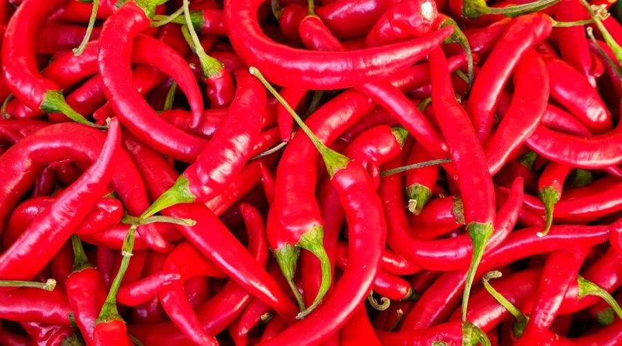 découvrez le chili, un pays aux paysages variés, des plages de rêve aux majestueux andes. plongez dans sa culture riche, sa délicieuse cuisine et ses aventures en plein air, tout en explorant des villes vibrantes comme santiago et valparaíso.