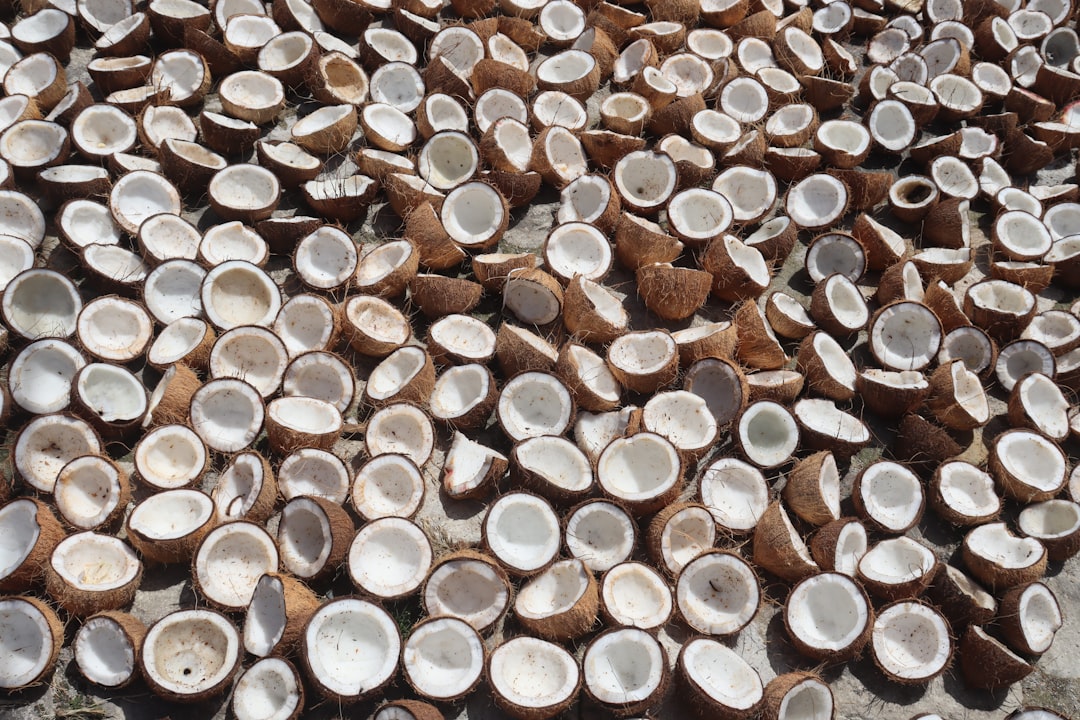 découvrez les bienfaits de l'huile de coco, un trésor naturel aux multiples usages. idéale pour la cuisine, les soins de la peau et des cheveux, cette huile végétale vous offre une expérience unique de santé et de bien-être.