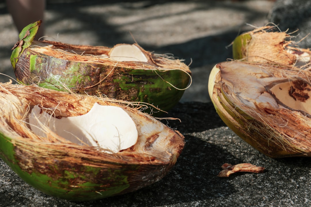 découvrez les bienfaits exceptionnels de l'huile de coco pour votre santé et votre beauté. polyvalente et naturelle, elle hydrate la peau, nourrit les cheveux et s'intègre parfaitement dans votre alimentation. apprenez comment l'utiliser au quotidien pour profiter de ses propriétés exceptionnelles.
