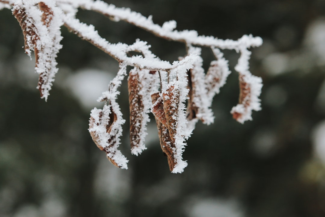 découvrez les bienfaits des compresses froides pour soulager les douleurs et réduire l'inflammation. apprenez à les utiliser correctement pour un maximum d'efficacité et trouvez les meilleures techniques pour apaiser vos maux.