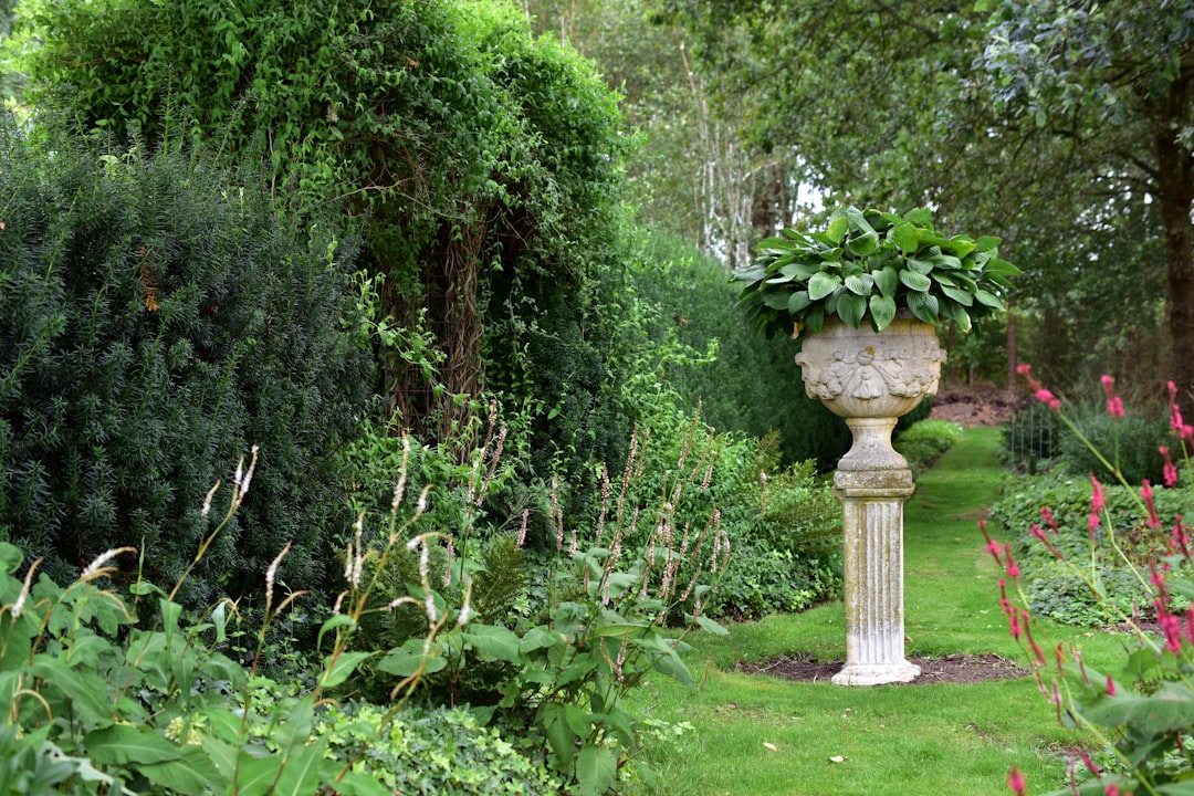 découvrez l'art du jardinage en conteneurs et apprenez à cultiver des plantes et des légumes avec peu d'espace. nos conseils pratiques vous aideront à créer un oasis verdoyant, que ce soit sur un balcon, une terrasse ou dans votre jardin.
