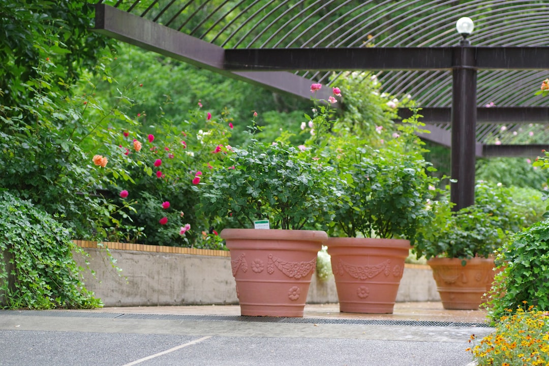 découvrez l'art du jardinage en containers : comment cultiver vos plantes préférées dans des espaces réduits. idéal pour les balcons, les terrasses et les petits jardins, apprenez les meilleures astuces pour un jardinage réussi tout en préservant la beauté de votre espace.