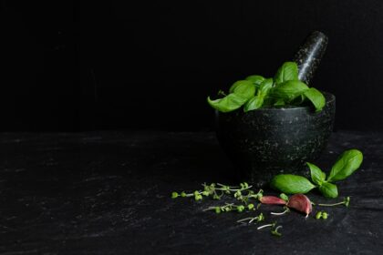 découvrez des recettes savoureuses à base de coriandre ! transformez vos plats avec des idées créatives et des astuces pour intégrer cette herbe aromatique unique dans vos repas. que vous soyez amateur de cuisine ou chef en herbe, nos suggestions vous inspireront!