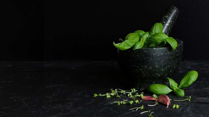 découvrez des recettes savoureuses à base de coriandre ! transformez vos plats avec des idées créatives et des astuces pour intégrer cette herbe aromatique unique dans vos repas. que vous soyez amateur de cuisine ou chef en herbe, nos suggestions vous inspireront!