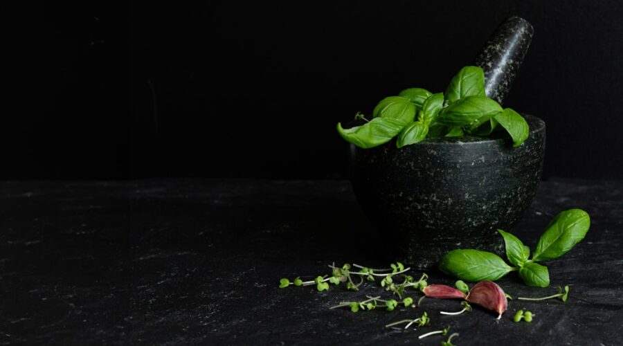 découvrez des recettes savoureuses à base de coriandre ! transformez vos plats avec des idées créatives et des astuces pour intégrer cette herbe aromatique unique dans vos repas. que vous soyez amateur de cuisine ou chef en herbe, nos suggestions vous inspireront!