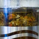 découvrez l'importance de la digestion pour votre santé. apprenez comment fonctionne le système digestif, les aliments bénéfiques pour une meilleure digestion et des conseils pour éviter les inconforts digestifs. optimisez votre bien-être grâce à une digestion saine !