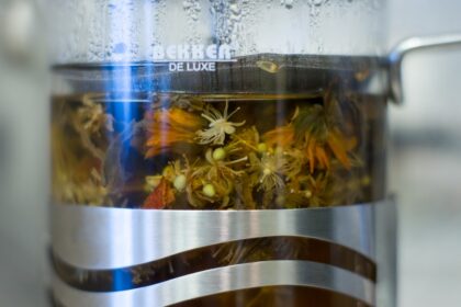 découvrez l'importance de la digestion pour votre santé. apprenez comment fonctionne le système digestif, les aliments bénéfiques pour une meilleure digestion et des conseils pour éviter les inconforts digestifs. optimisez votre bien-être grâce à une digestion saine !