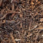 découvrez des astuces et conseils pour un jardinage éco-responsable qui respecte l'environnement. apprenez à cultiver vos plantes de manière durable, à réduire les déchets et à favoriser la biodiversité tout en profitant pleinement de votre espace vert.