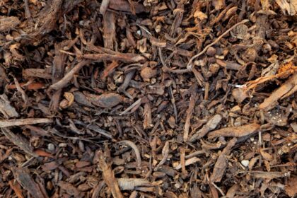 découvrez des astuces et conseils pour un jardinage éco-responsable qui respecte l'environnement. apprenez à cultiver vos plantes de manière durable, à réduire les déchets et à favoriser la biodiversité tout en profitant pleinement de votre espace vert.