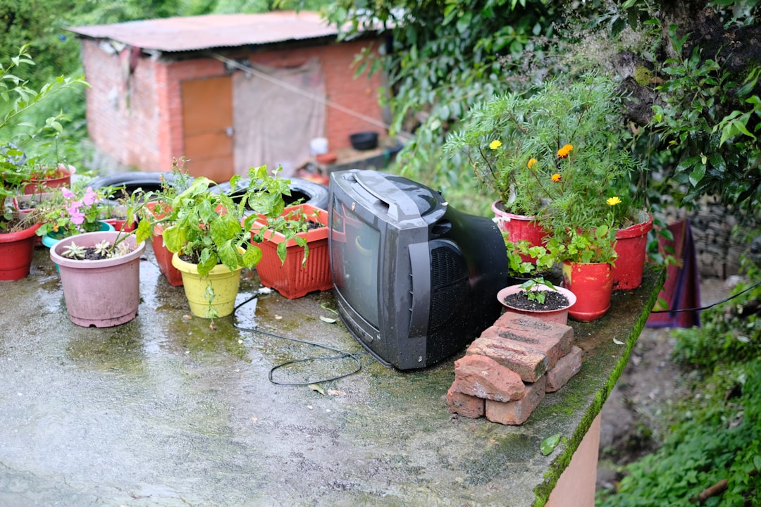 découvrez les secrets du jardinage écologique : des conseils pratiques pour cultiver des plantes tout en respectant l'environnement. adoptez des méthodes durables et profitez d'un jardin florissant, bénéfique pour la biodiversité et votre santé.