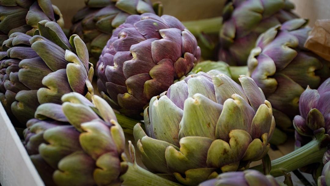 découvrez l'univers fascinant des fleurs comestibles : un guide complet sur les variétés à cultiver, leurs saveurs uniques et comment les intégrer dans vos plats pour une touche de couleur et de créativité.