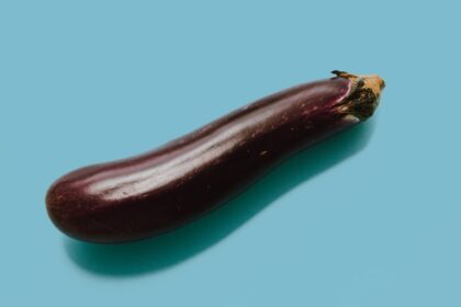 découvrez l'aubergine, un légume savoureux et polyvalent, parfait pour ajouter de la couleur et des textures à vos plats. apprenez des recettes délicieuses et des astuces de cuisine qui mettent en valeur ce trésor culinaire.