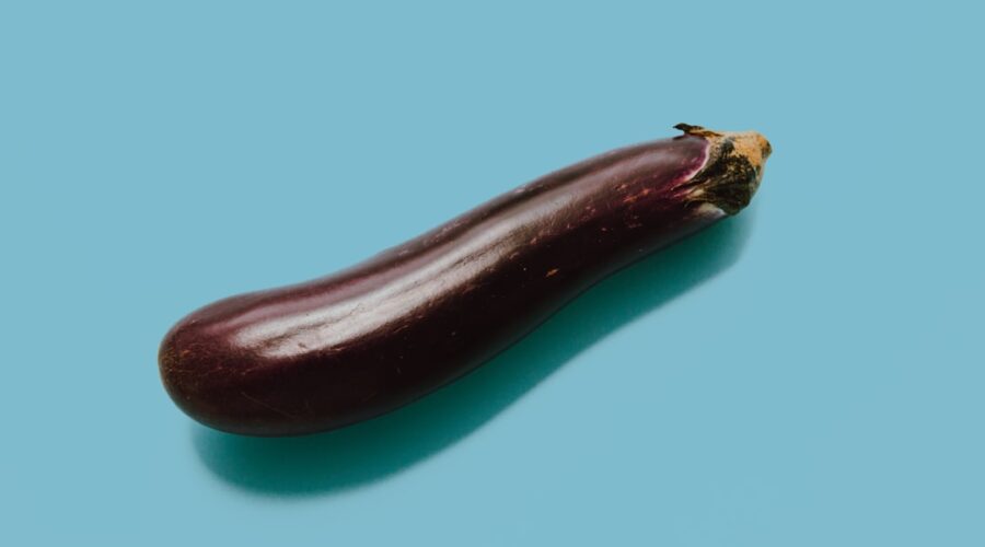 découvrez l'aubergine, un légume savoureux et polyvalent, parfait pour ajouter de la couleur et des textures à vos plats. apprenez des recettes délicieuses et des astuces de cuisine qui mettent en valeur ce trésor culinaire.