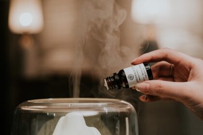 découvrez les bienfaits des huiles essentielles, des extraits naturels aux propriétés aromatiques et thérapeutiques. apprenez à les utiliser pour améliorer votre bien-être au quotidien.