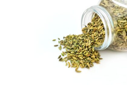 découvrez le fenouil, une plante aromatique aux multiples bienfaits. riches en saveurs et en nutriments, les graines et les bulbes de fenouil ajoutent une touche anisée à vos plats tout en favorisant la digestion et en soutenant votre santé. apprenez à l'utiliser en cuisine et explorez ses vertus médicinales.