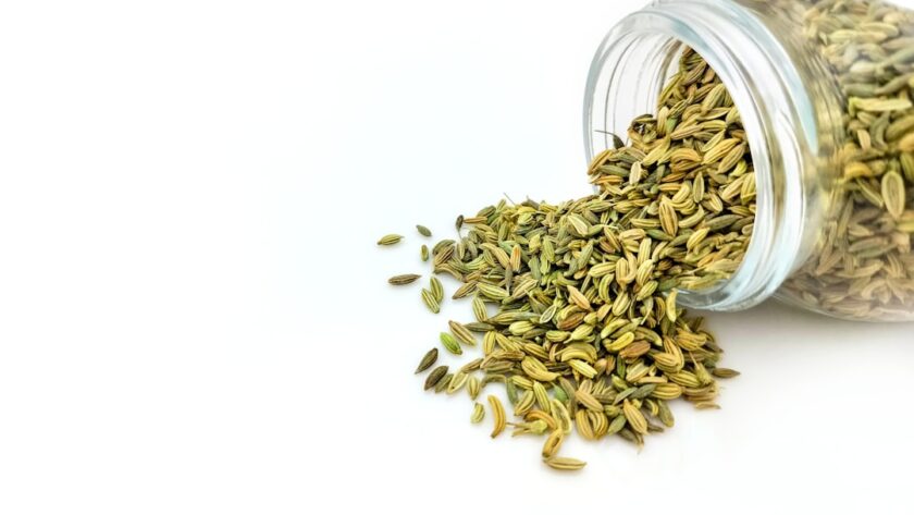 découvrez le fenouil, une plante aromatique aux multiples bienfaits. riches en saveurs et en nutriments, les graines et les bulbes de fenouil ajoutent une touche anisée à vos plats tout en favorisant la digestion et en soutenant votre santé. apprenez à l'utiliser en cuisine et explorez ses vertus médicinales.