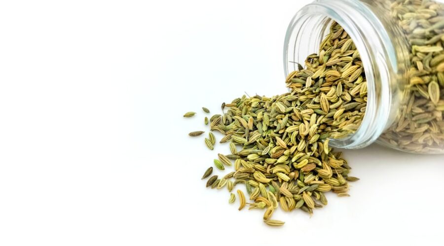 découvrez le fenouil, une plante aromatique aux multiples bienfaits. riches en saveurs et en nutriments, les graines et les bulbes de fenouil ajoutent une touche anisée à vos plats tout en favorisant la digestion et en soutenant votre santé. apprenez à l'utiliser en cuisine et explorez ses vertus médicinales.