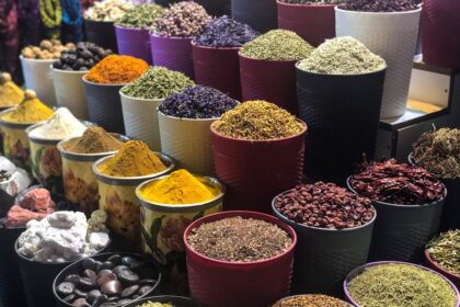 découvrez un monde de saveurs avec notre sélection unique d'arômes et de goûts. que vous soyez passionné de cuisine ou simplement curieux, explorez des combinaisons innovantes qui éveilleront vos papilles et transformeront vos plats en expériences gustatives inoubliables.
