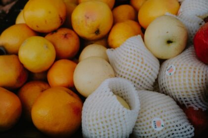 découvrez des techniques efficaces de conservation des fruits pour prolonger leur fraîcheur et leur saveur. apprenez les meilleures méthodes de stockage et de préparation pour profiter des bienfaits des fruits tout au long de l'année.