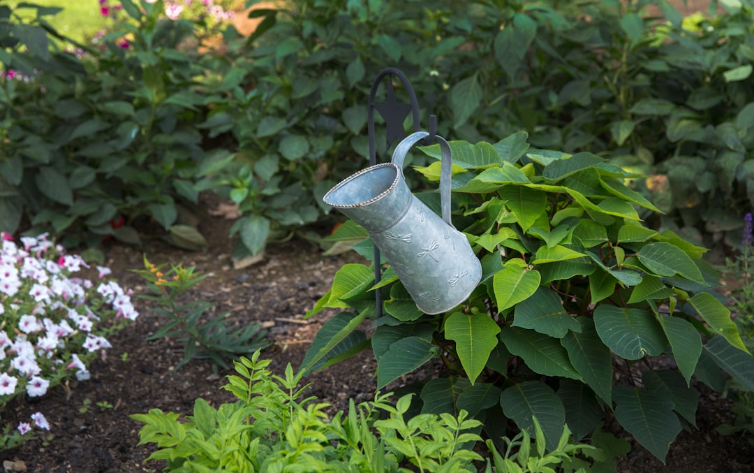 découvrez l'univers du jardinage avec nos conseils pratiques, astuces et inspirations pour cultiver une oasis de verdure chez vous. que vous soyez débutant ou jardinier expérimenté, explorez des techniques de jardinage durables et apprenez à entretenir vos plantes pour un jardin florissant.
