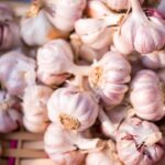découvrez les bienfaits de l'ail, un ingrédient puissant en cuisine et un trésor de santé. apprenez à l'utiliser pour rehausser vos plats tout en profitant de ses propriétés médicinales. explorez des recettes savoureuses à base d'ail et faites-en un allié incontournable de votre alimentation.