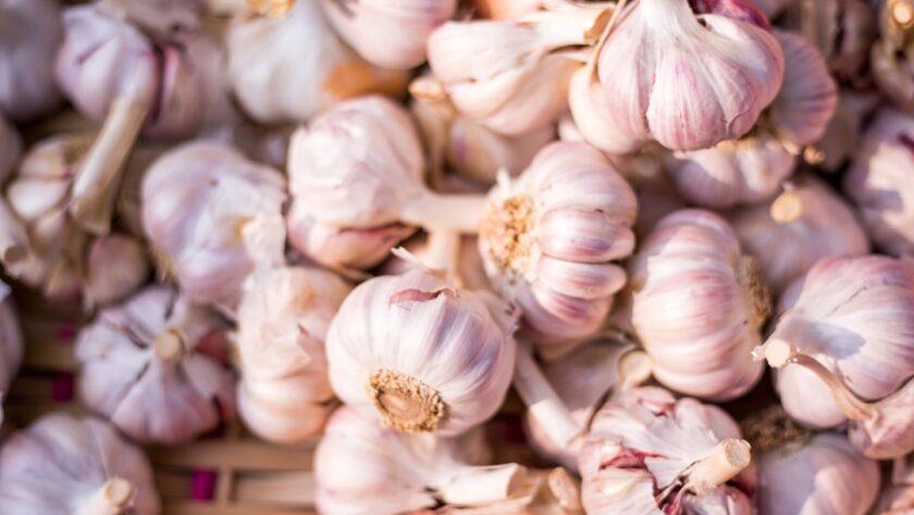 découvrez les bienfaits de l'ail, un ingrédient puissant en cuisine et un trésor de santé. apprenez à l'utiliser pour rehausser vos plats tout en profitant de ses propriétés médicinales. explorez des recettes savoureuses à base d'ail et faites-en un allié incontournable de votre alimentation.