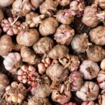 découvrez les bienfaits de l'ail, cet aliment aux multiples vertus pour la santé. apprenez à l'utiliser en cuisine et explorez ses propriétés médicinales pour renforcer votre immunité.