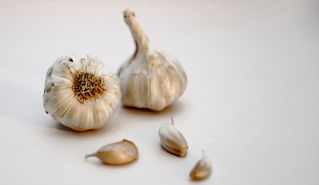 découvrez l'ail, un ingrédient incontournable de la cuisine, bénéfique pour la santé et riche en saveurs. explorez ses bienfaits, ses variétés et des recettes délicieuses qui sublimeront vos plats.