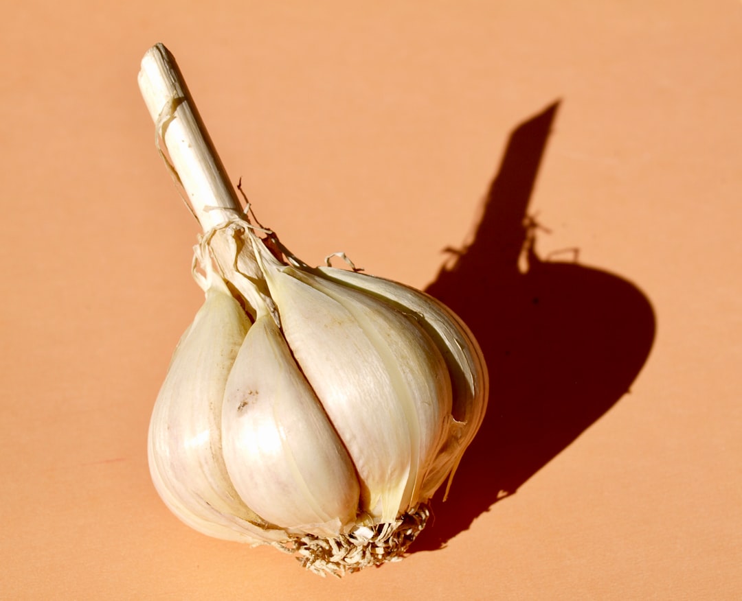 découvrez les bienfaits de l'ail : un super-aliment aux propriétés médicinales, des recettes savoureuses et des astuces pour l'intégrer facilement dans votre alimentation quotidienne.