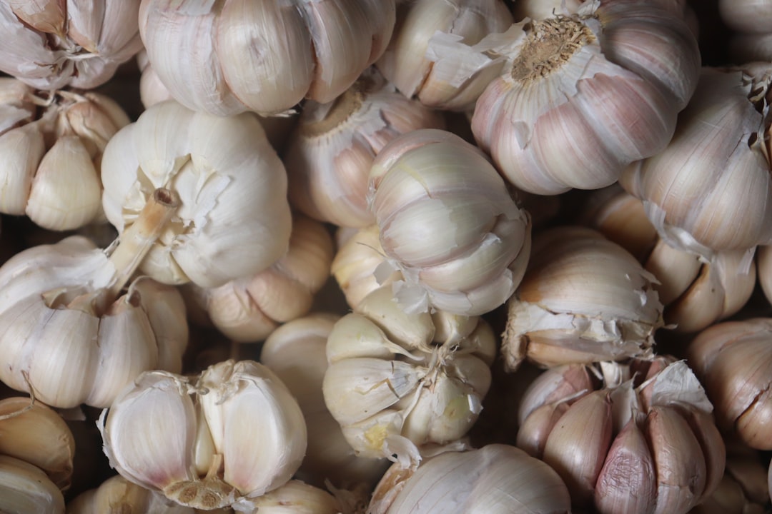 découvrez les bienfaits de l'ail : un ingrédient puissant en cuisine et un allié santé indéniable. apprenez à l'utiliser dans vos recettes pour rehausser vos plats tout en profitant de ses propriétés antioxydantes.