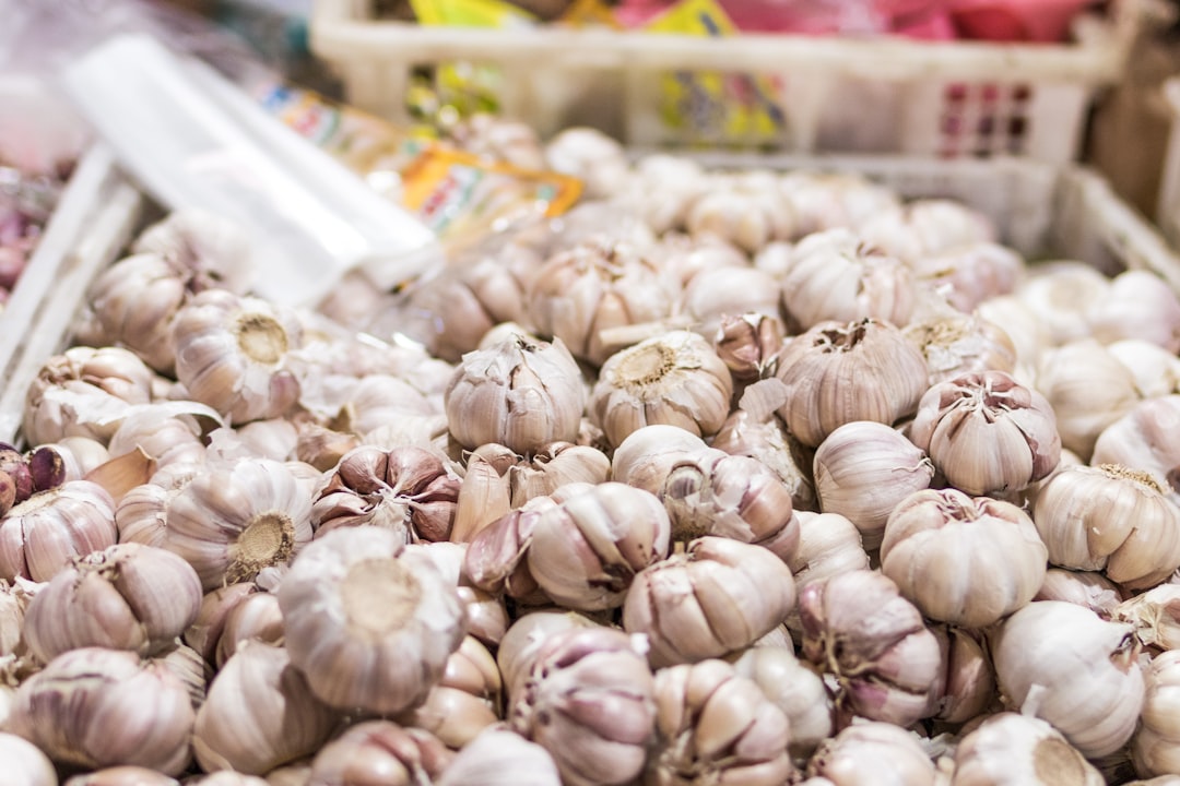 découvrez les bienfaits de l'ail, un incontournable de la cuisine française et un puissant allié pour la santé. explorez ses propriétés médicinales, ses recettes savoureuses et ses astuces pour l'intégrer facilement dans votre alimentation quotidienne.