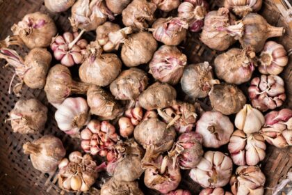 découvrez les bienfaits de l'ail, cet aliment aux multiples vertus pour la santé. apprenez à l'utiliser en cuisine et explorez ses propriétés médicinales pour renforcer votre immunité.