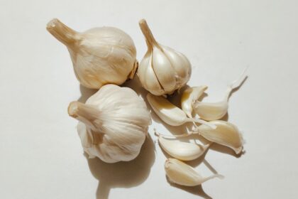 découvrez les bienfaits de l'ail dans votre cuisine et votre santé. apprenez des recettes savoureuses, des astuces pour l'utiliser au quotidien et les propriétés médicinales de cet ingrédient incontournable.