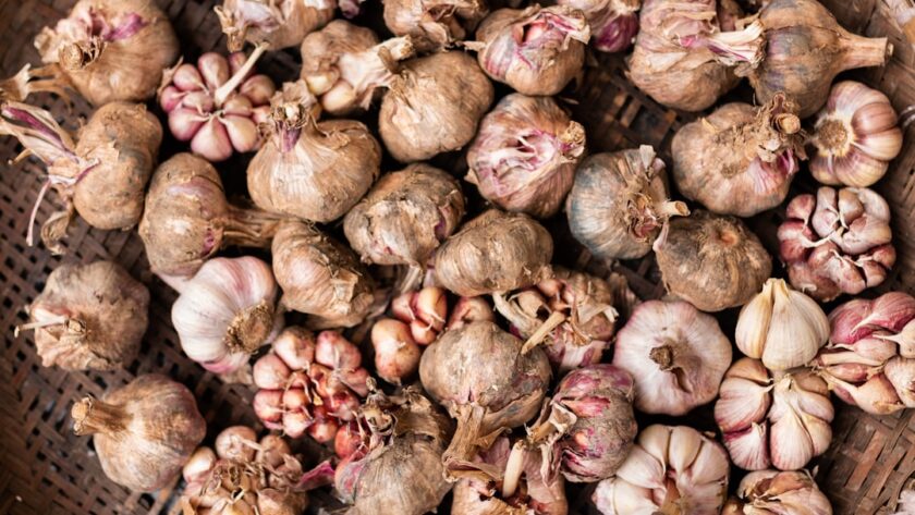 découvrez les bienfaits de l'ail, cet aliment aux multiples vertus pour la santé. apprenez à l'utiliser en cuisine et explorez ses propriétés médicinales pour renforcer votre immunité.