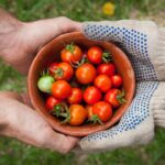 découvrez comment la générosité peut transformer votre vie et celle des autres. apprenez à donner sans attendre en retour et inspirez votre entourage avec des actes de bonté qui créent un impact positif durable.