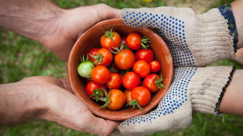 découvrez comment la générosité peut transformer votre vie et celle des autres. apprenez à donner sans attendre en retour et inspirez votre entourage avec des actes de bonté qui créent un impact positif durable.