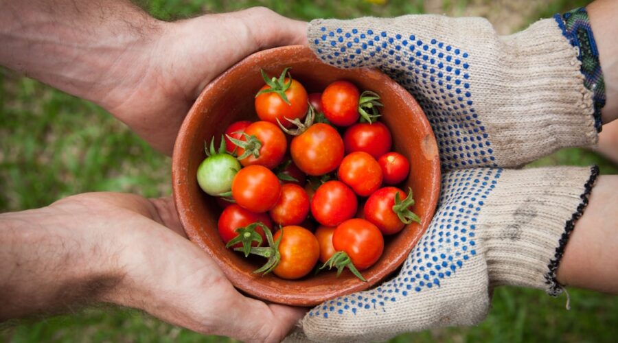 découvrez comment la générosité peut transformer votre vie et celle des autres. apprenez à donner sans attendre en retour et inspirez votre entourage avec des actes de bonté qui créent un impact positif durable.